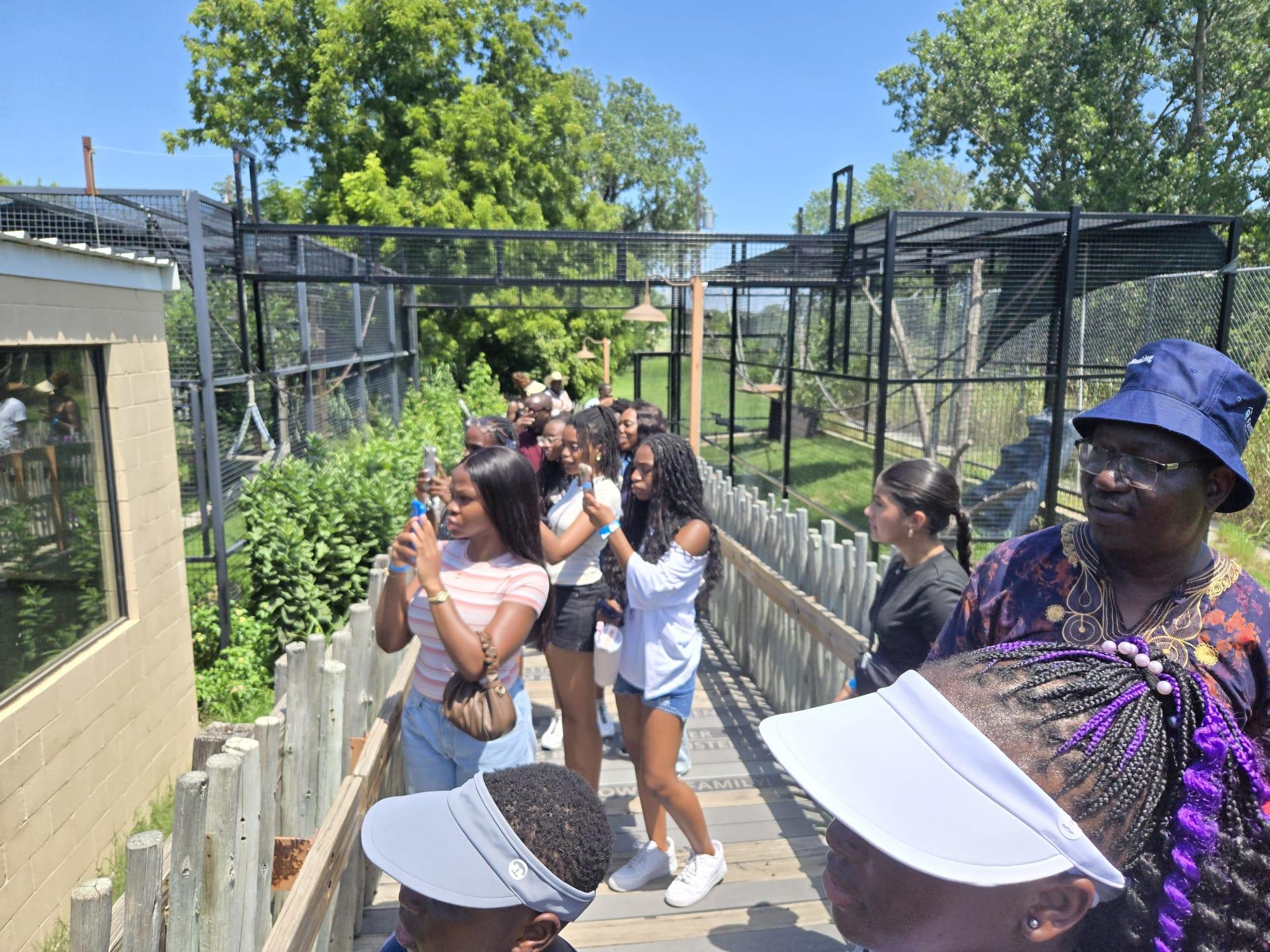 Aerial view of land property 2