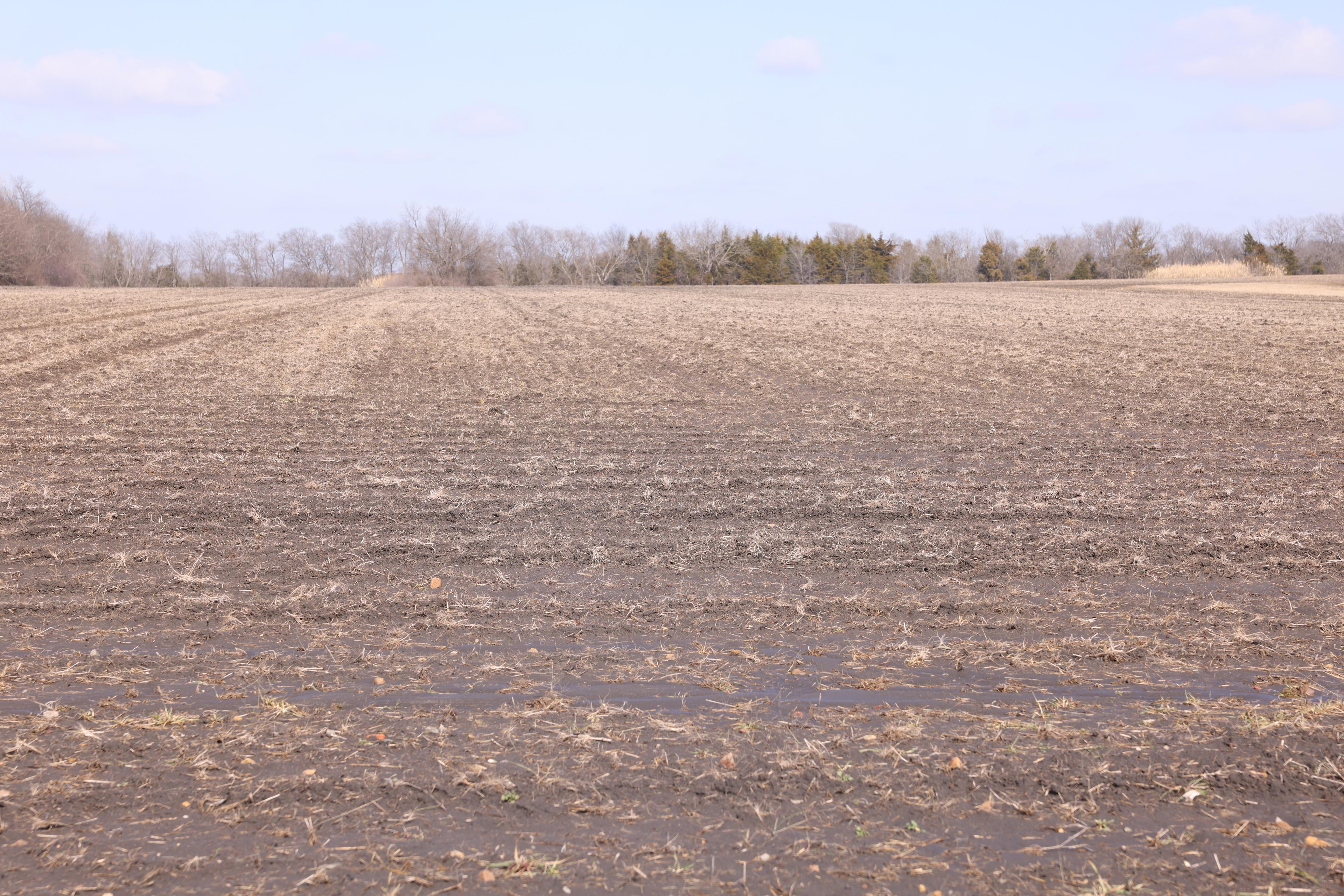 Aerial view of land property 3