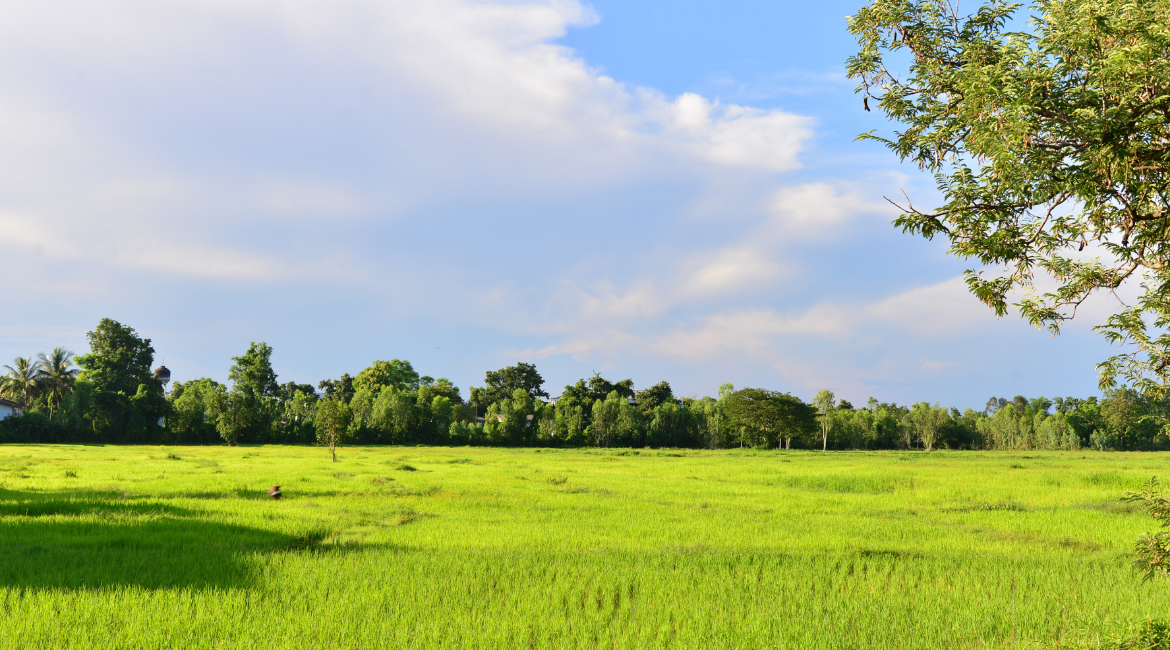 WHY LAND MATTERS MORE THAN EVER IN 2025!