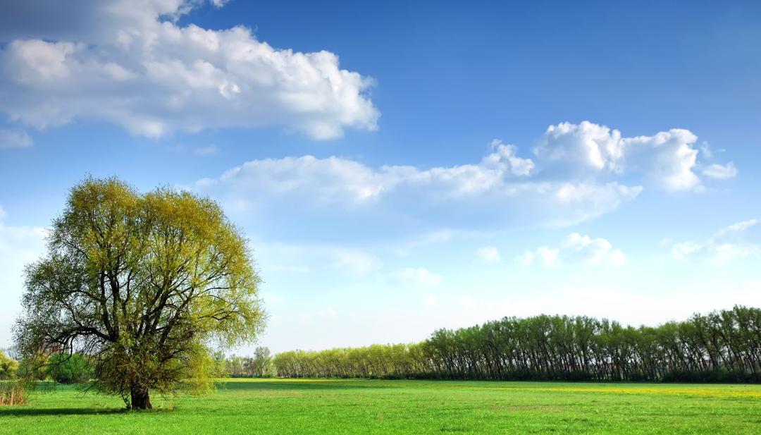 Unseen Benefits of Owning Land