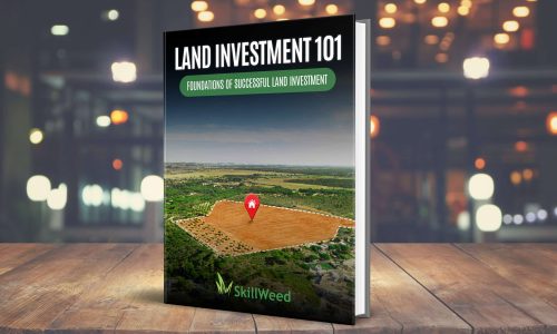 Land-Investment-scaled